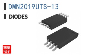 DMN2019UTS-13