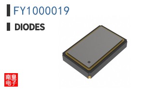 FY1000019