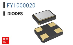 FY1000020