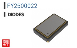 FY2500022