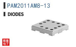 PAM2011AM8-13